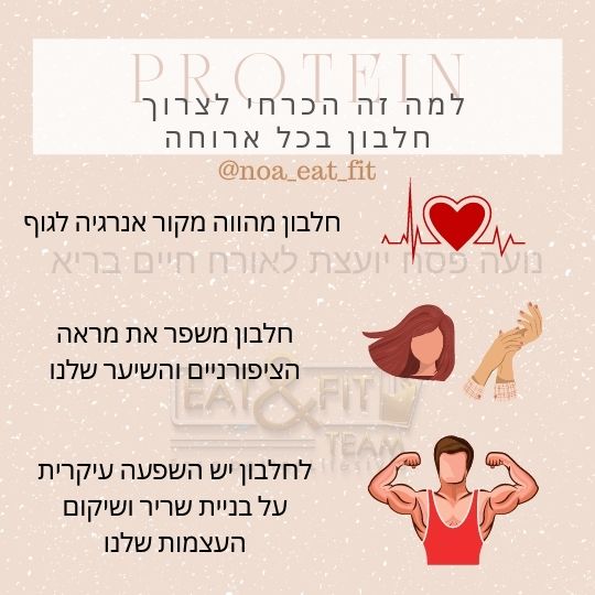 למה זה הכרחי לצרוך חלבון בכל ארוחה